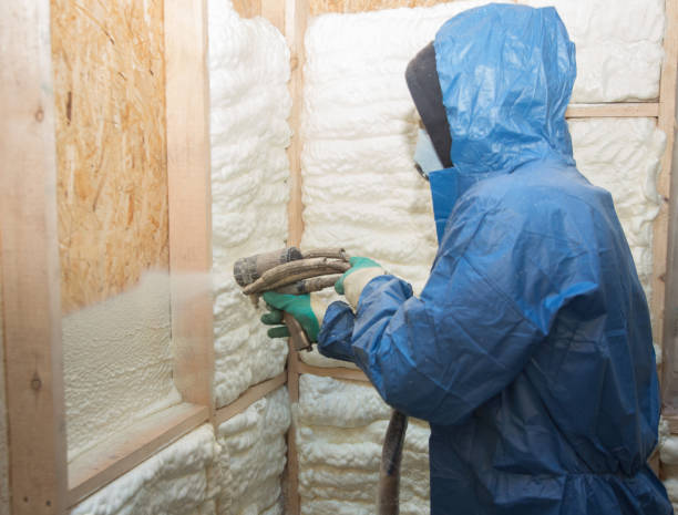 Types of Insulation We Offer in Kihei, HI